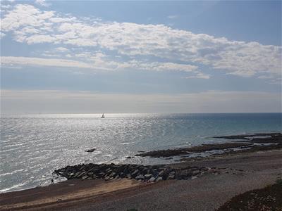 Picture 20